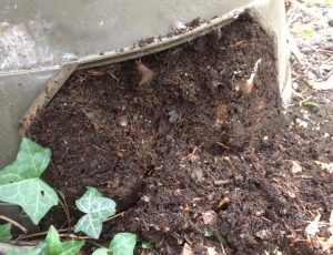 Compost, brown gold, feeding, Dalek,