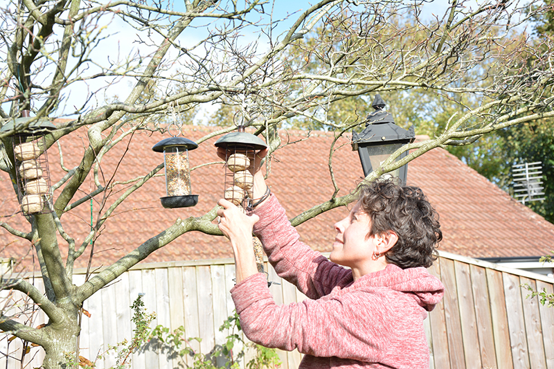 Bird feeders in garden. Feeding birds in garden.