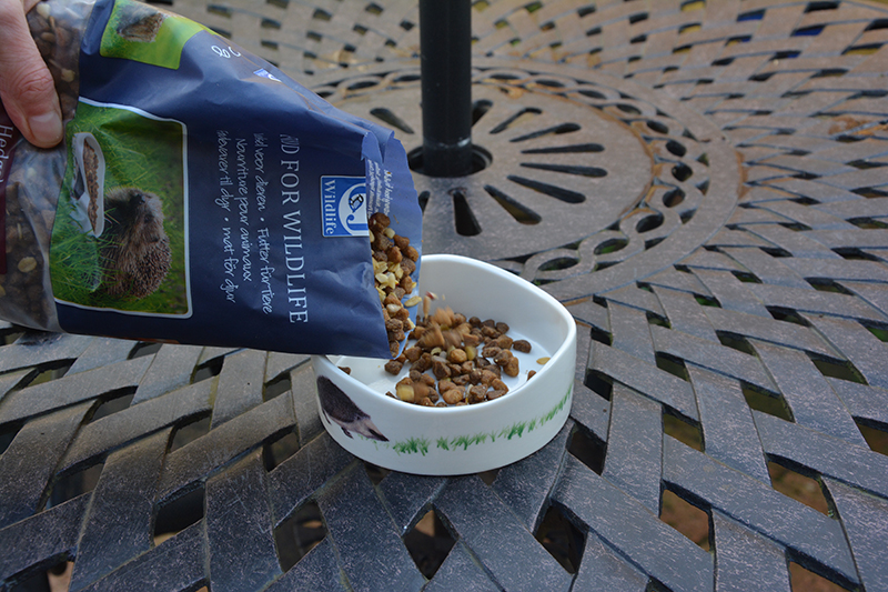 Hedgehog food