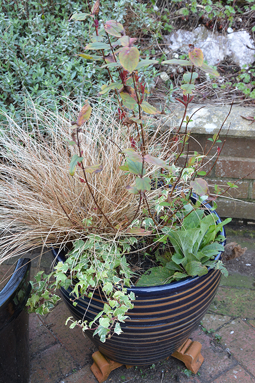 This pot had clearly seen better days and can now be reused this summer.