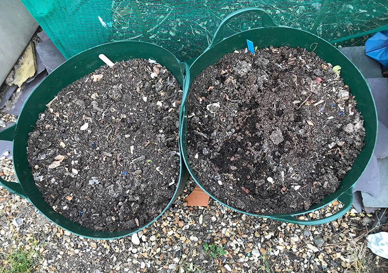 Potatoes, garden, trugs