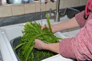 washing, foraging, wild garlic, spring recipes, easy