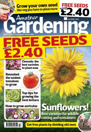 Amateur Gardening 25 April cover proof