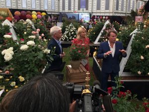 Chelsea FLoer Show, grand Pavilion, virtual, Coronavirus