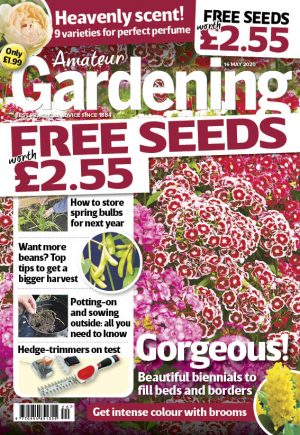 Amateur Gardening 16 May 2020 cover