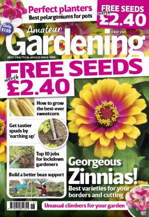 Amateur Gardening 2 May 2020 cover