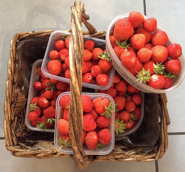 strawberries