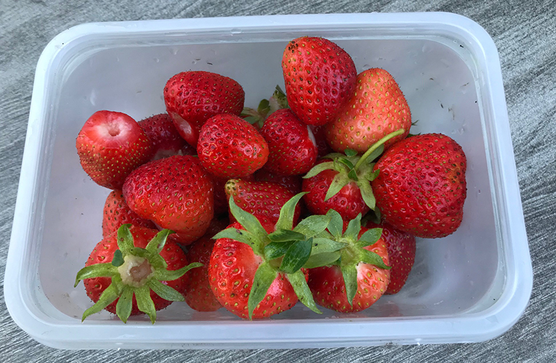 strawberries