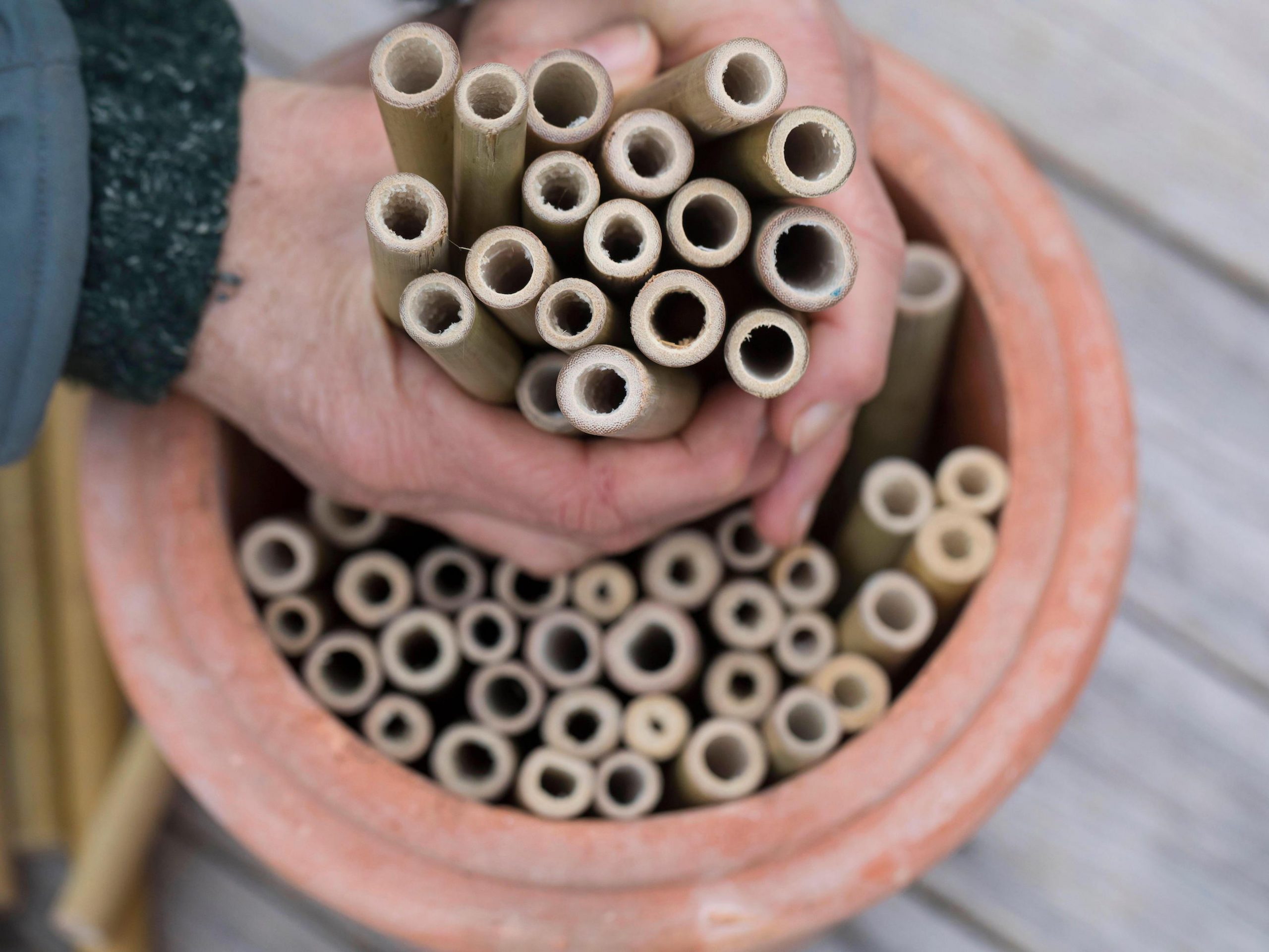 Bee Hotel Bamboo Pot