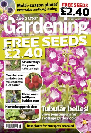 Amateur Gardening 20 June 2020