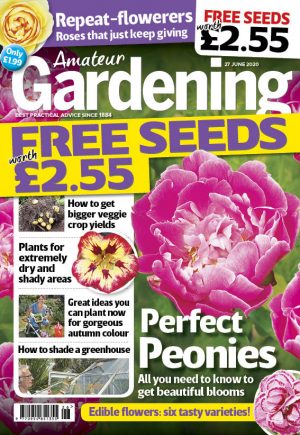 Amateur Gardening 27 June 2020 cover