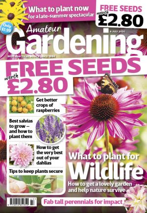 Amateur Gardening 4 July 2020 cover