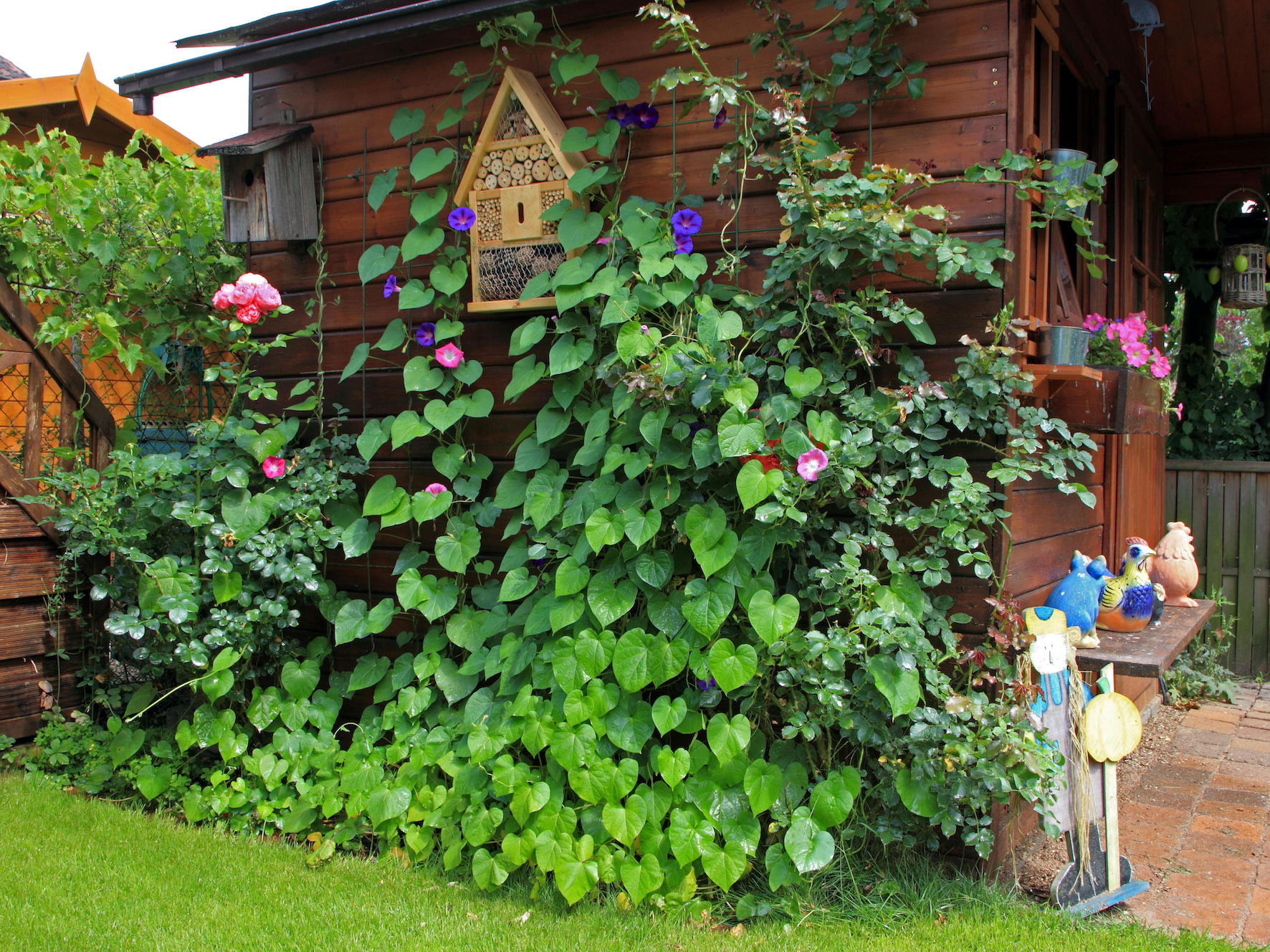 Bee Hotel Lovely Flowers