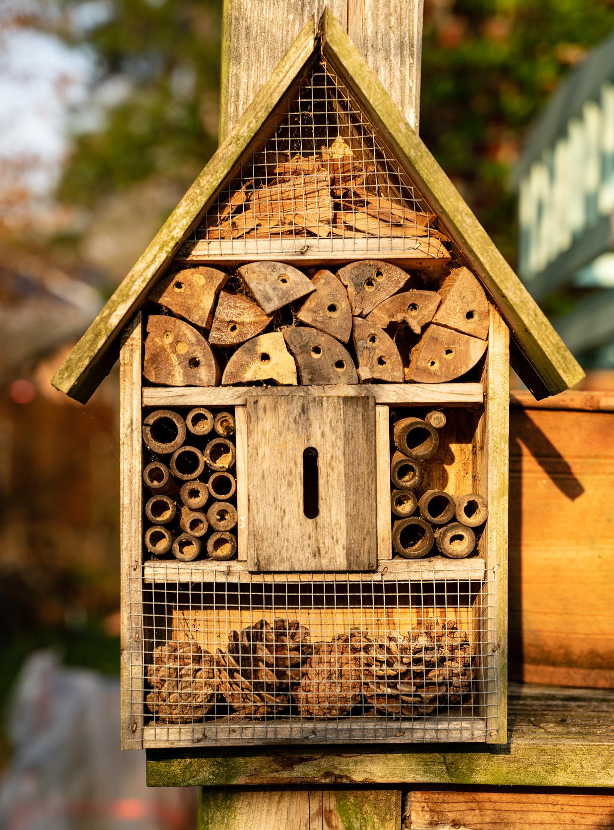 Bee Hotel Right Height Pixabay