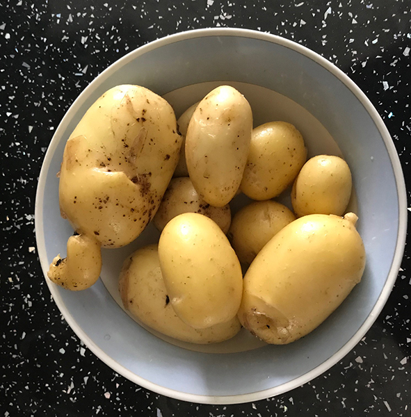 'Charlotte' salad potatoes