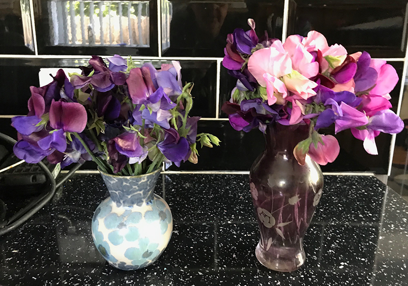 Sweet peas from the allotment.