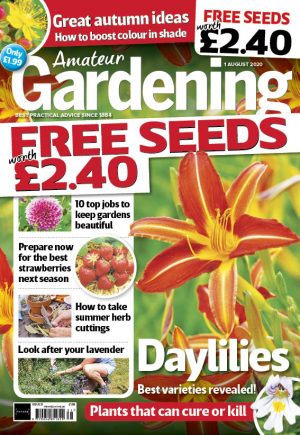 Amateur Gardening 1 August 2020 cover