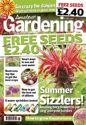 Amateur Gardening 11 July 2020 cover
