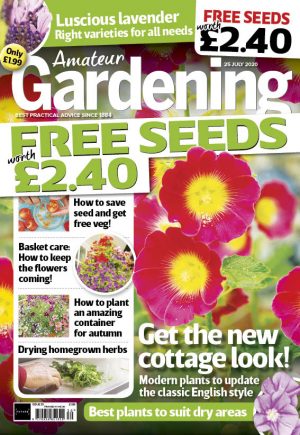 Amateur Gardening 25 July 2020 cover