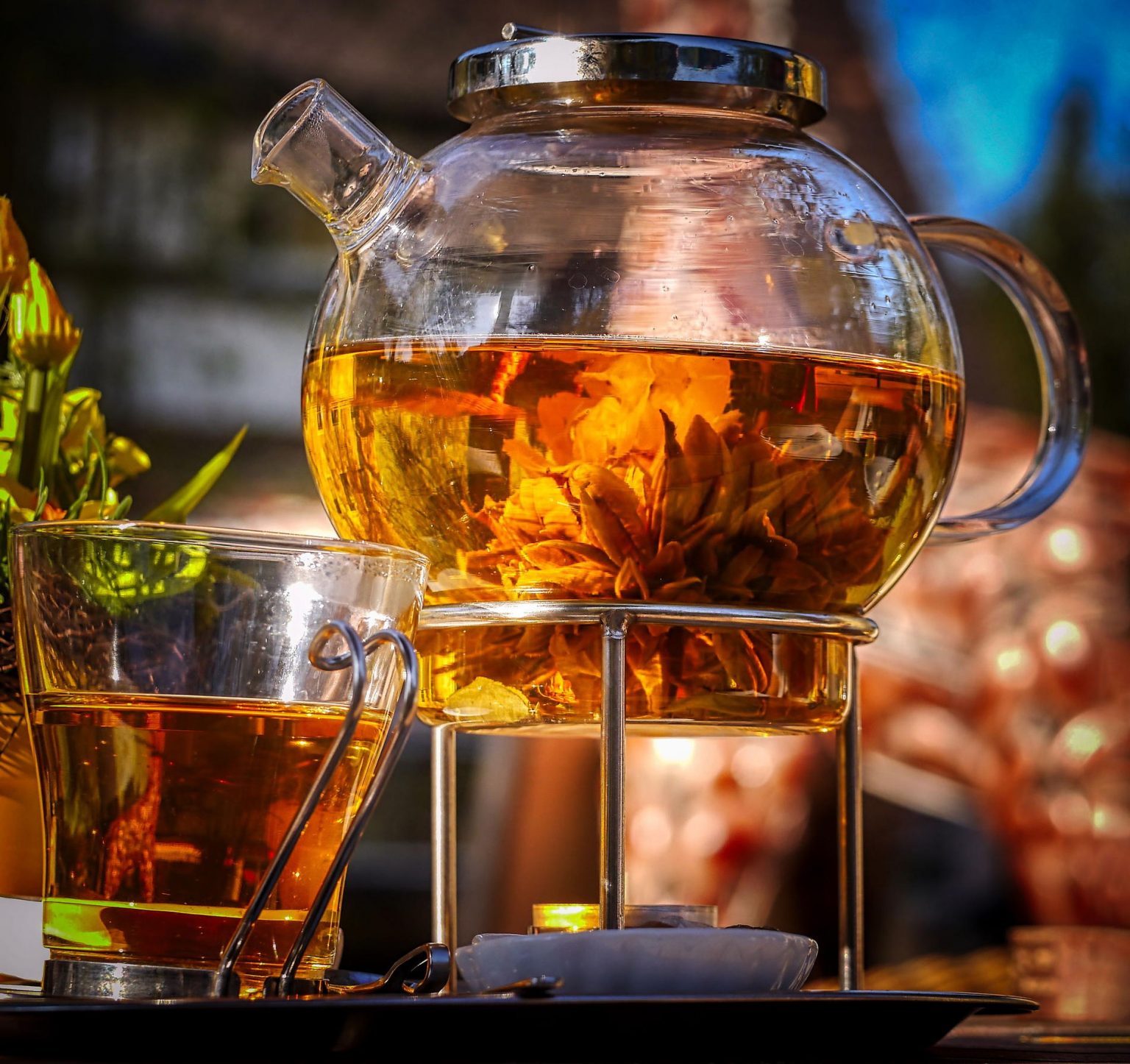 How To Grow Herbal Tea With Amateur Gardening