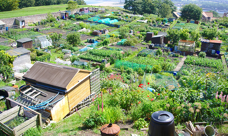allotments