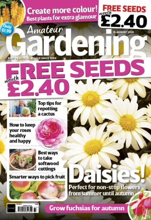 Amateur Gardening 15 August cover 2020