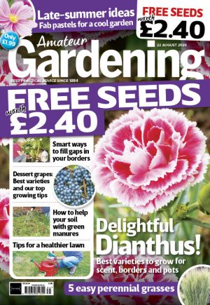 Amateur Gardening 22 August 2020 cover