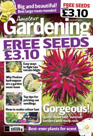 Amateur Gardening 8 August 2020 cover