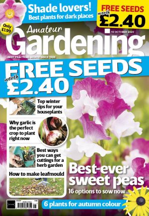 Amateur Gardening 10 October 2020 cover