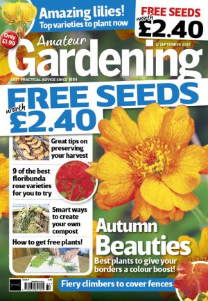 Amateur Gardening 12 September 2020 cover