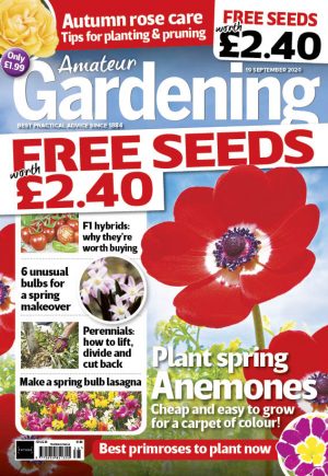 Amateur Gardening 19 September 2020 cover