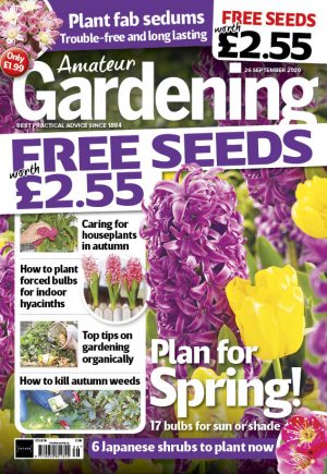 Amateur Gardening 26 Sep 2020 cover