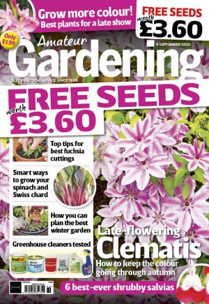 Amateur Gardening 5 September 2020 cover