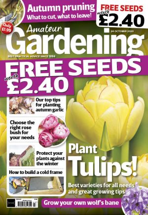 Amateur Gardening 24 October 2020 cover