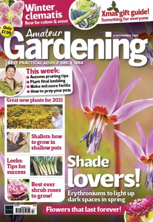Amateur Gardening 21 November 2020 Cover