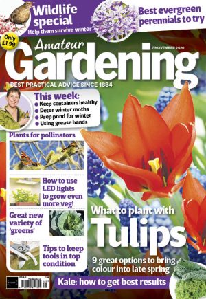 Amateur Gardening 7 November 2020 Cover