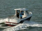 Arvor 230