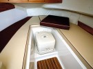 Arvor 230