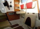 Arvor 230