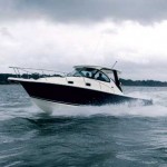 Pursuit 315