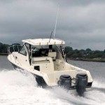 Pursuit 315