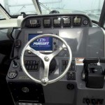 Pursuit 315