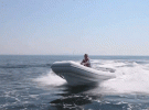 Williams-445-mini-RIB.gif