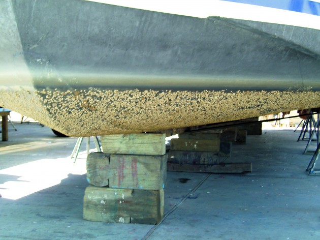 Microfouling boat hull