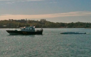 Capsized speedboat towed in to Hamble Point Marina