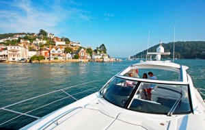 Dart estuary - West Country cruising guide