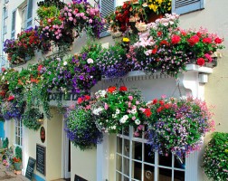 Dartmouth - Windjammer Inn