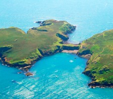 Skomer - harbour bays