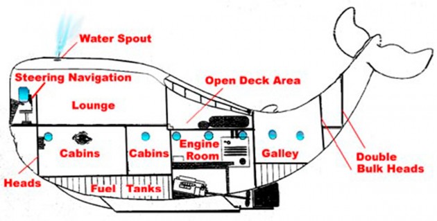 Moby whale boat layout
