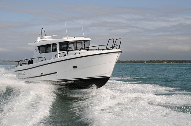 Sargo 33